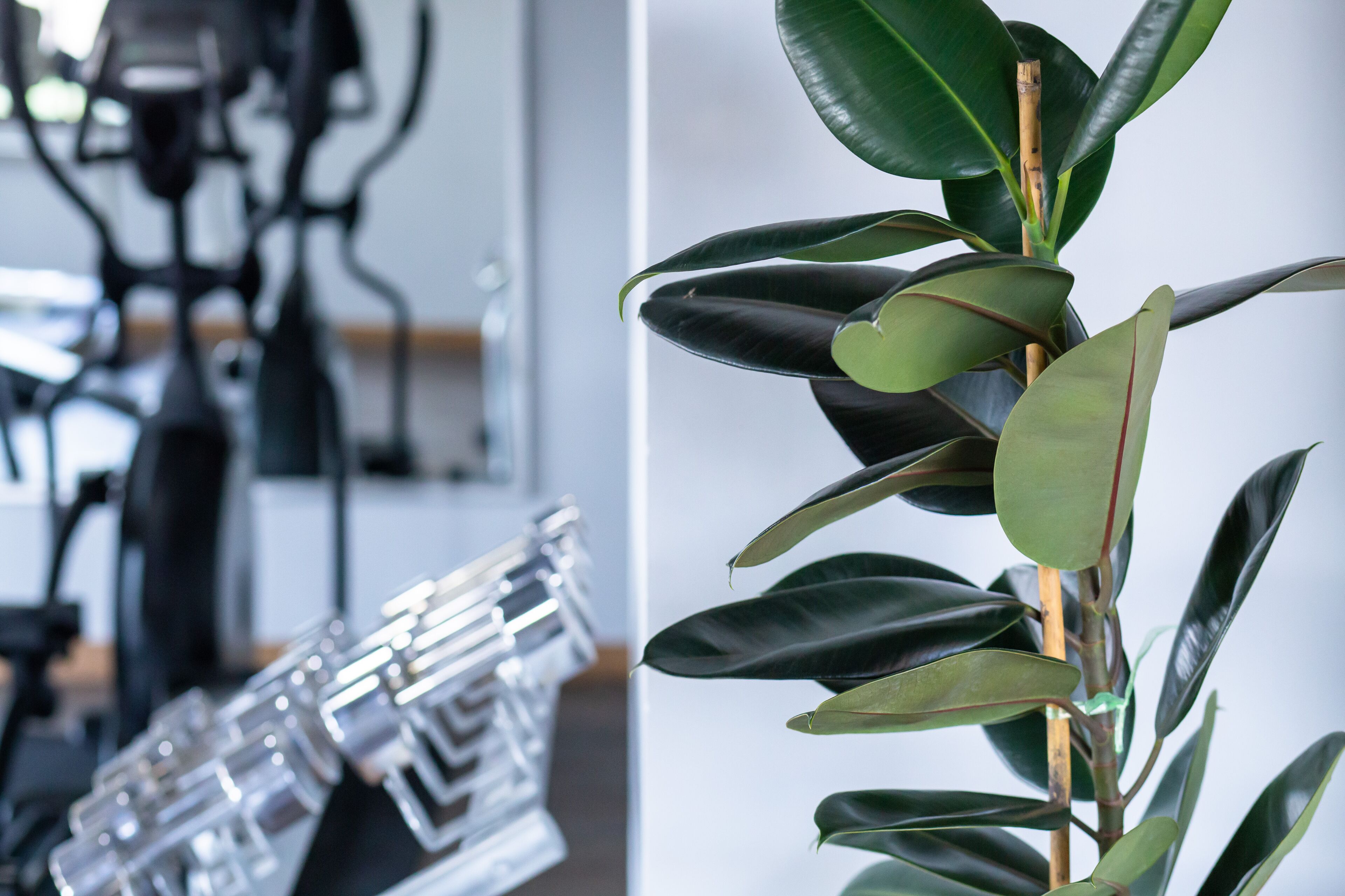 Foto - Jazzotel Bangkok