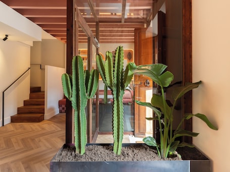 Recepción. Marton Turisme de Interior