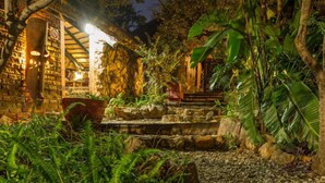 Property grounds - Mali Mali Safari Lodge (Hoedspruit)