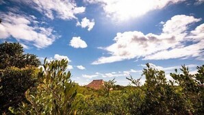 A landscape with a clear sky, trees, and a distant building. - Maqueda @ Mozambique (Manhica)