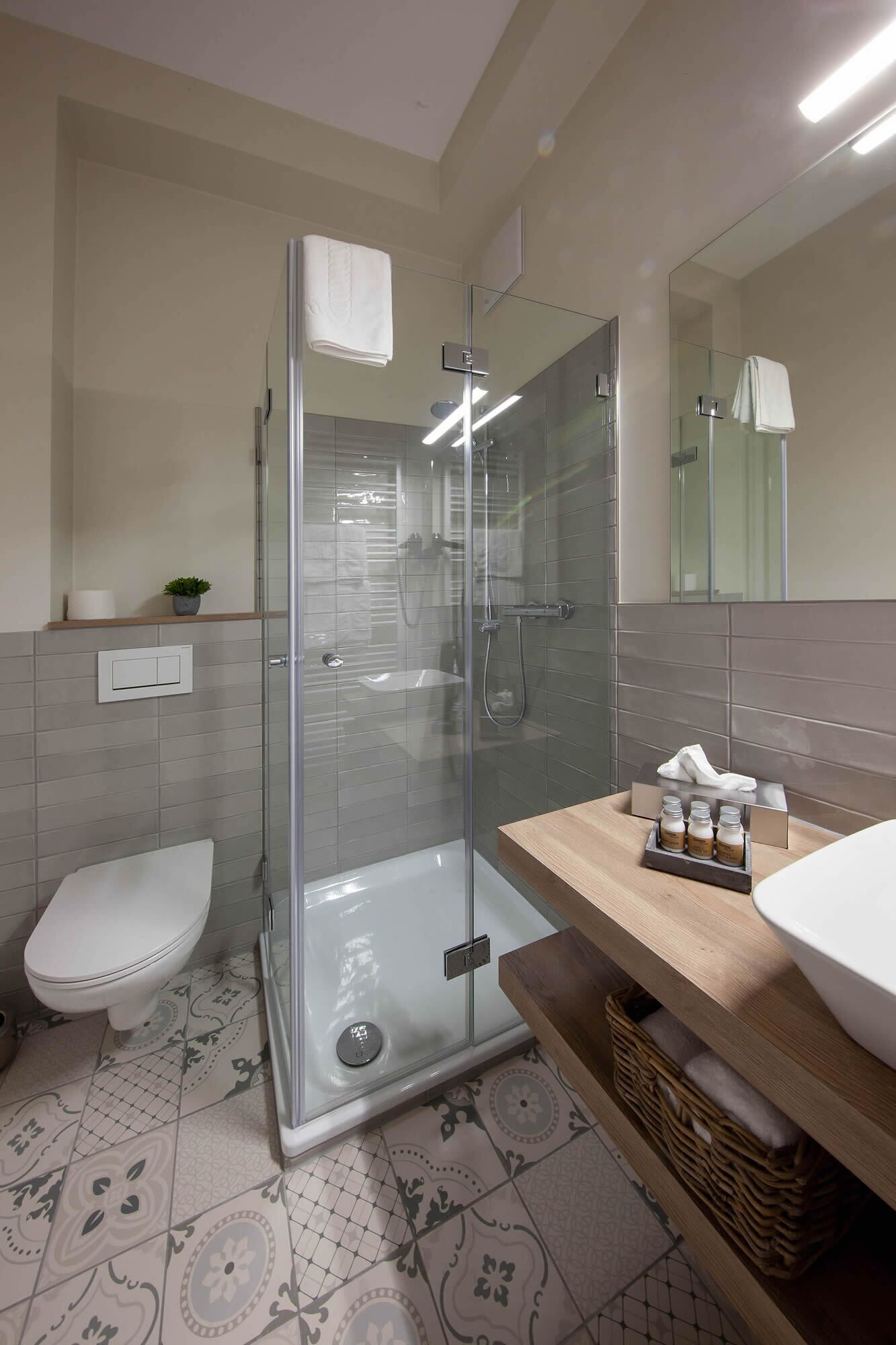Ein modernes Badezimmer mit einer Duschkabine, einer Toilette und einem Waschtisch mit Spüle und Pflegeprodukten.