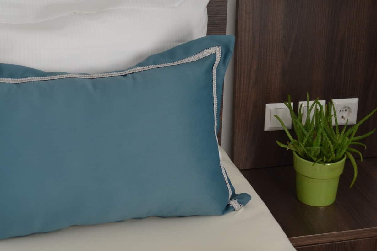 Una cama bien tendida con almohadas blancas y azules, una planta verde sobre una mesita de noche y un cabecero de madera.