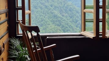 تلفزيون إل سي دي