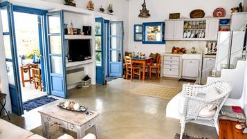 智能电视、壁炉、DVD 播放器、书