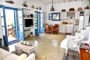 Smart TV, chimenea, reproductor de DVD y libros