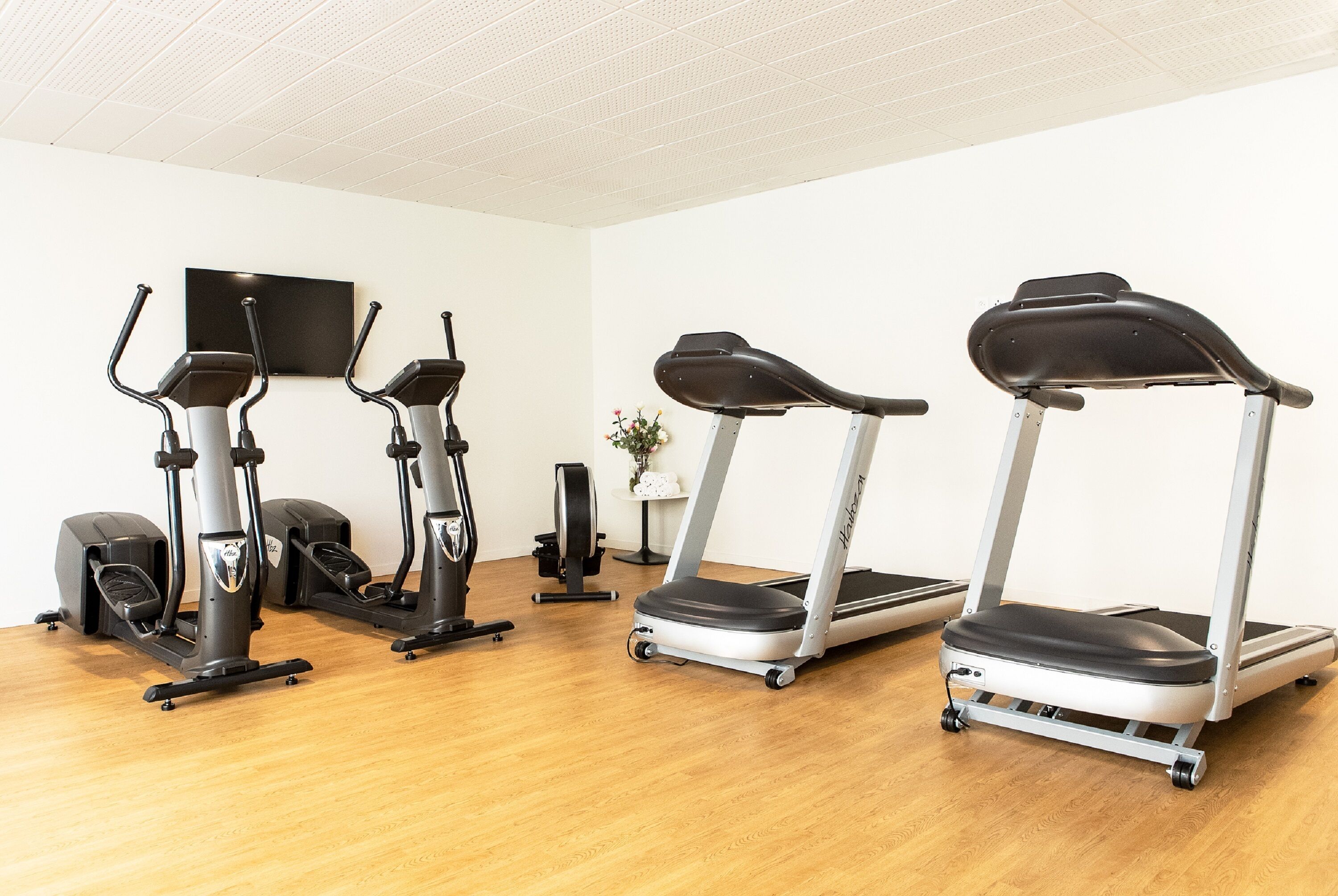 A gym with three stationary bikes, a treadmill, and a rowing machine.