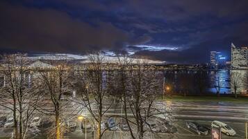 Superior Apartment | View from room