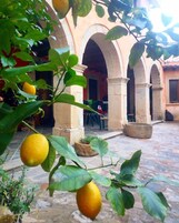 Un patio con limonero, arcos de piedra y suelo de baldosas.