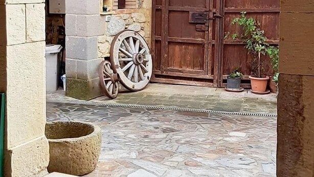 An arched entrance with a stone wall, a wooden door, and a potted plant.