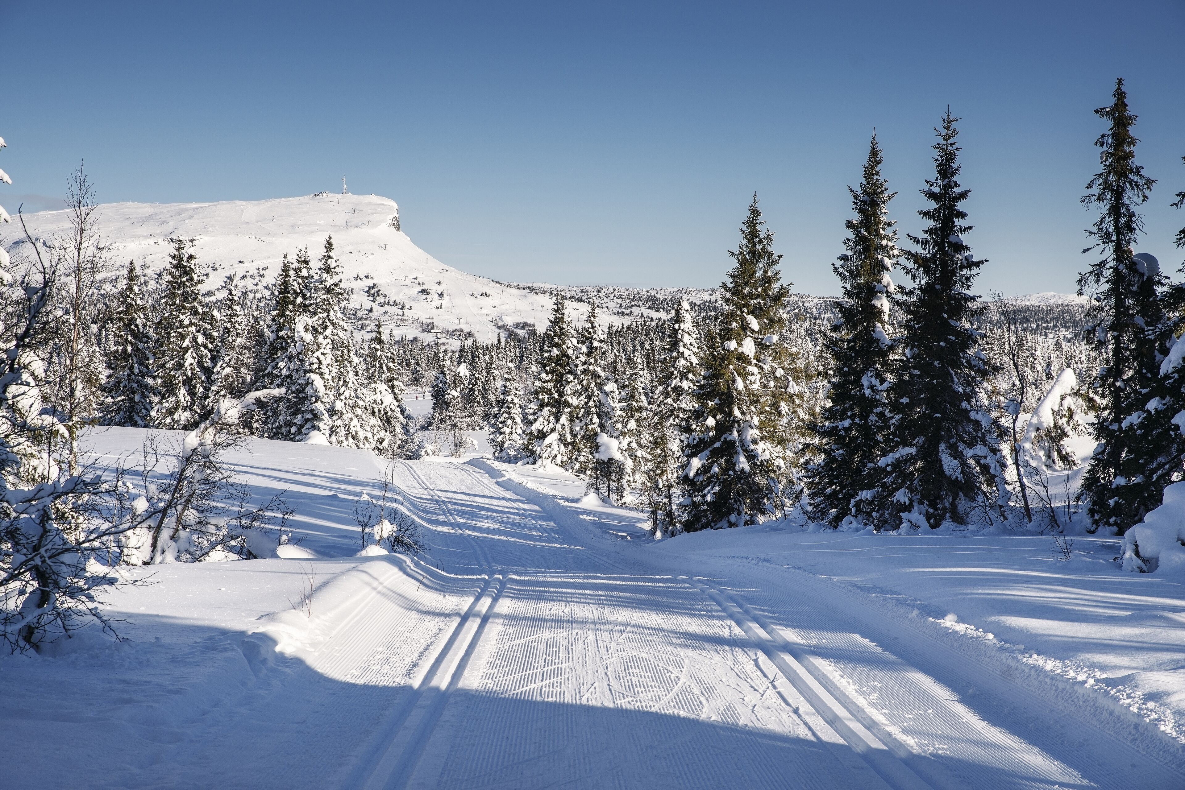 Eine verschneite Landschaft mit blauem Himmel, einem mit Schnee bedeckten Berg und immergrünen Bäumen.
