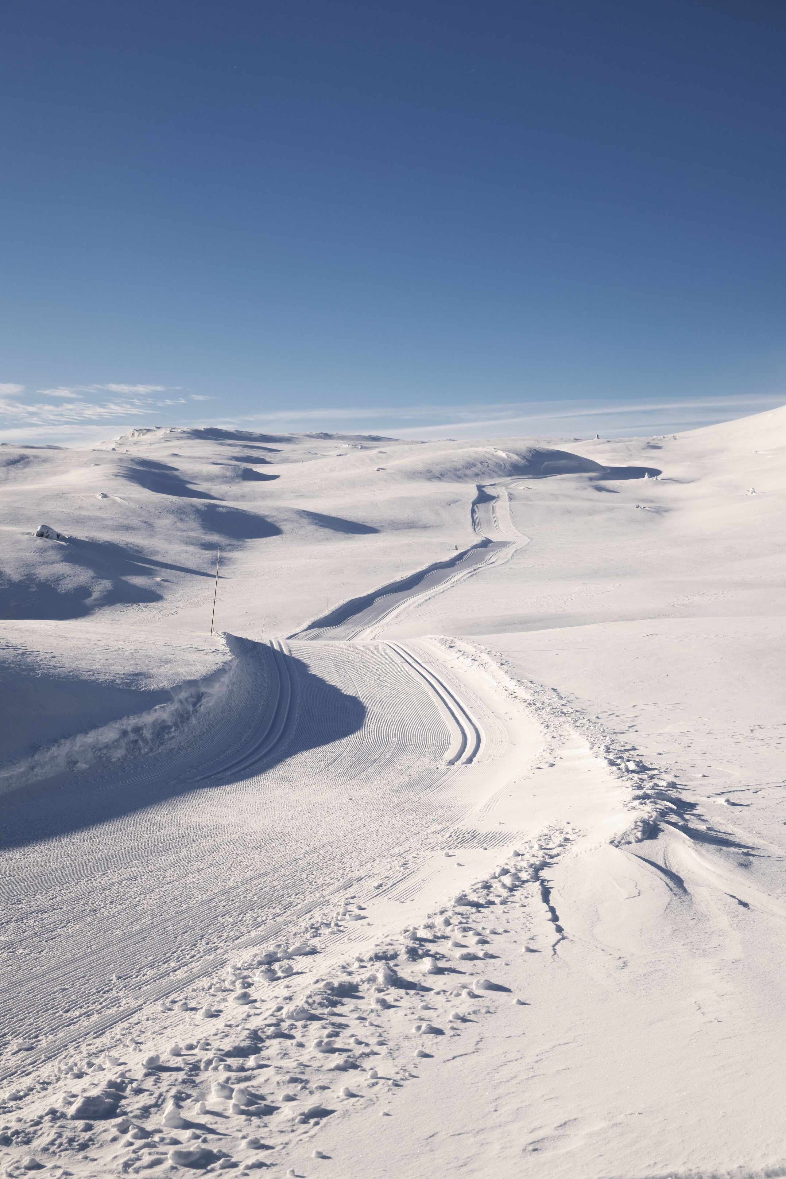Et sneklædt landskab med en snoet sti.