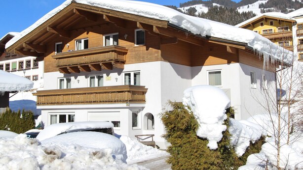 Unclassified image, 1 of 12, button - Cozy Apartment With Sauna, Ski Storage, Balcony, Garden (Viehhofen)