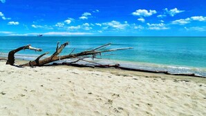 A beach with a fallen tree on the sand and a clear blue sky. - Tidy Chalet with Terrace near Sea (Ravenna)