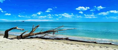 Chalet | View from property