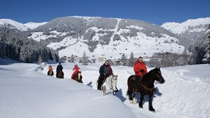 A group of people on horseback in a snowy landscape with mountains in the background. - Holiday Flat Near Four ski Lifts in Mayrhofen (Schwendau)