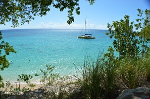 A clear view of a beach with a sailboat on the water, surrounded by greenery and clear skies.