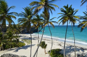 A beach with palm trees and clear blue water. - Sea-view Apartment - A unique Ocean view fully equipped apartment! (Silver Sands)