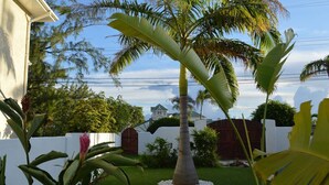 A well-maintained garden with a palm tree, various tropical plants, and a white fence. -  Tropical Gecko Studio - Only 80 meters from the Ocean! (Silver Sands)