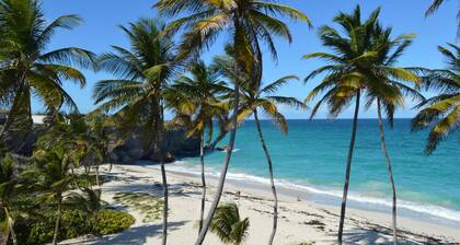 Tropical Gecko Studio - Only 80 meters from the Ocean!