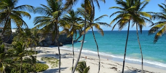 Tropical Gecko Studio - Bara 80 meter frÄn havet!