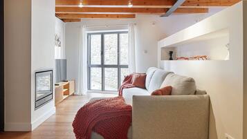 Una televisión, una chimenea, un reproductor de DVD