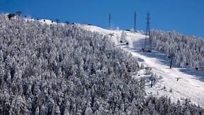 滑雪运动