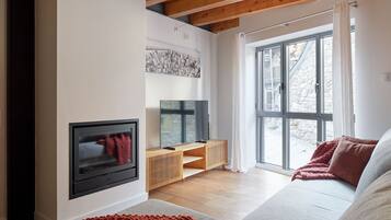 Télévision, cheminée, lecteur de DVD