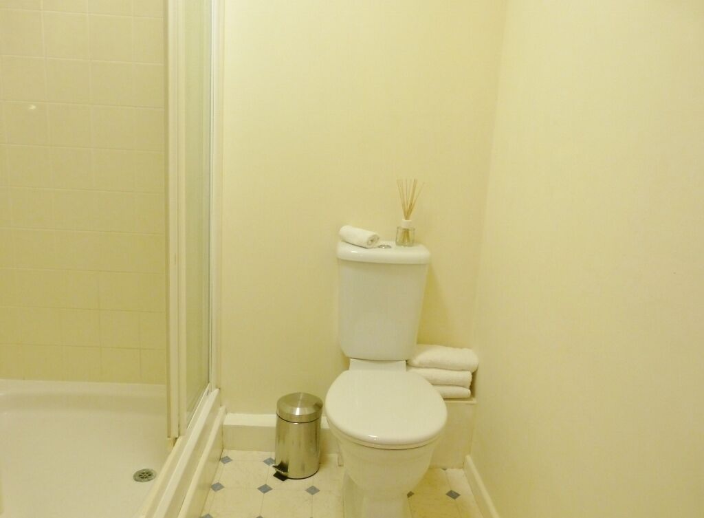 Un baño con inodoro, bote de basura y zona de ducha.