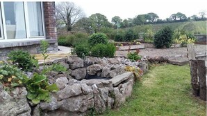 Ein Garten mit einer Steinmauer, verschiedenen Pflanzen und einer hölzernen Bank.