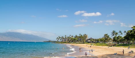 Plage à proximité