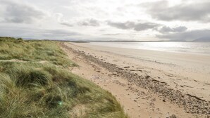 Una playa con una zona de dunas cubiertas de hierba y una orilla arenosa.