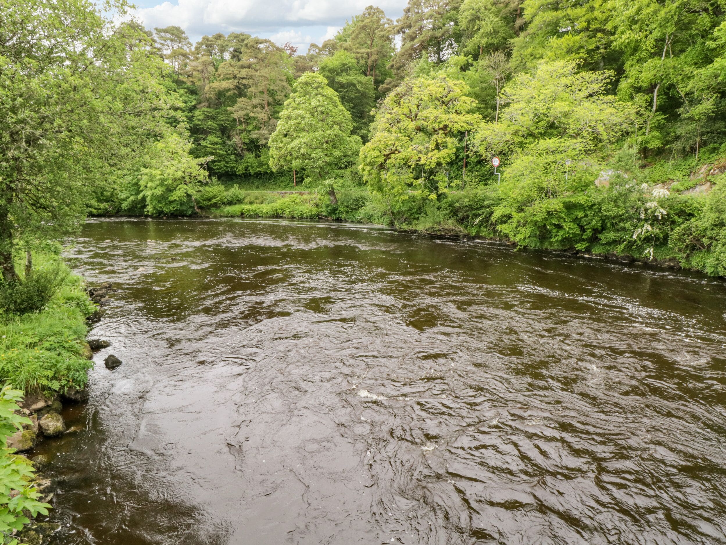 A river flowing through a densely wooded area.