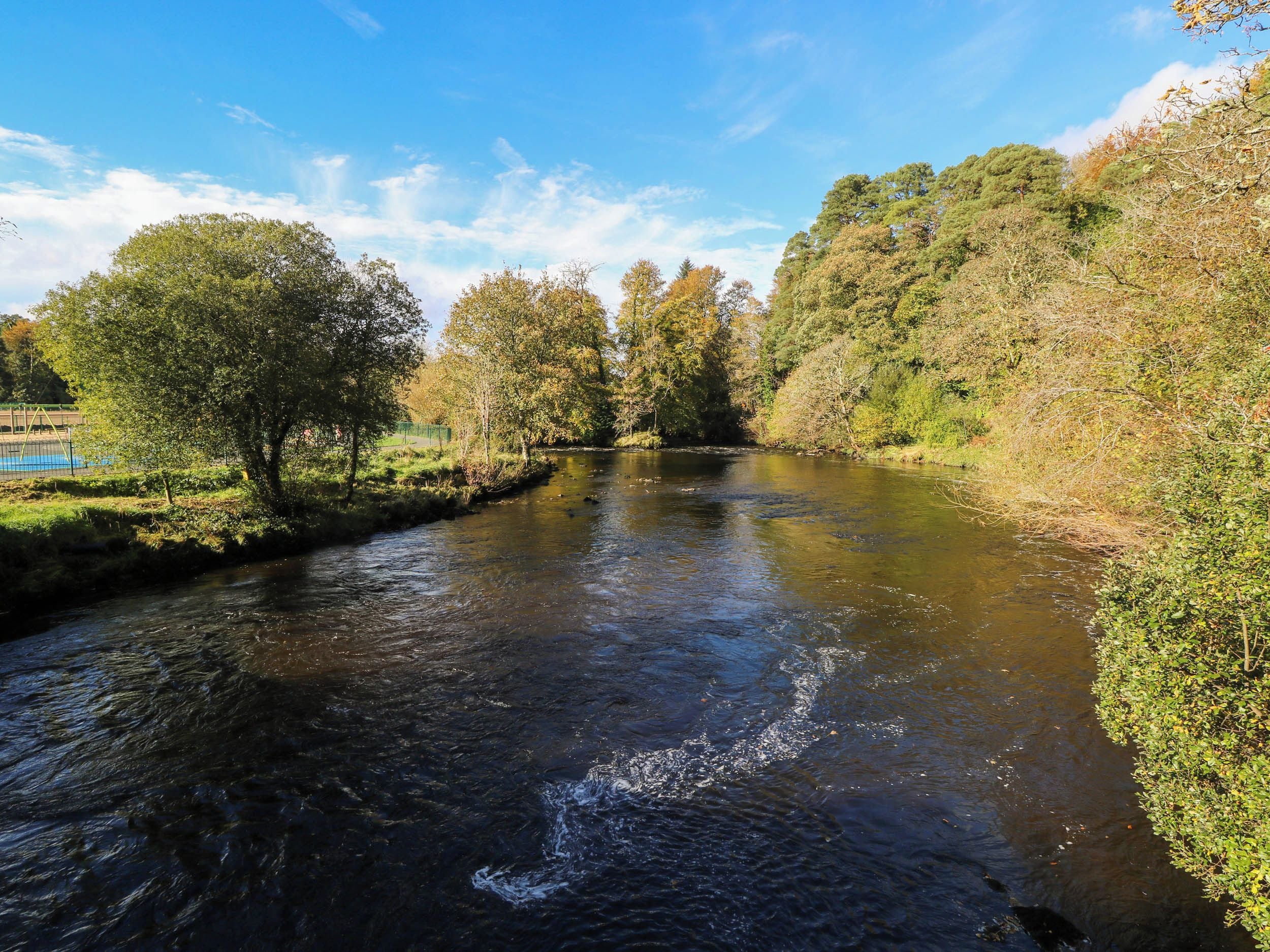 A river flowing through a wooded area with trees and a clear sky.