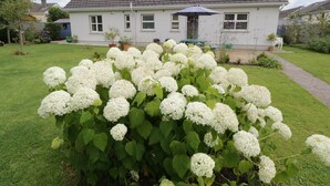 A house with a grey roof and white walls, surrounded by a well-maintained lawn and a bush of white flowers. - 2 Castle Cove (Dromahair)