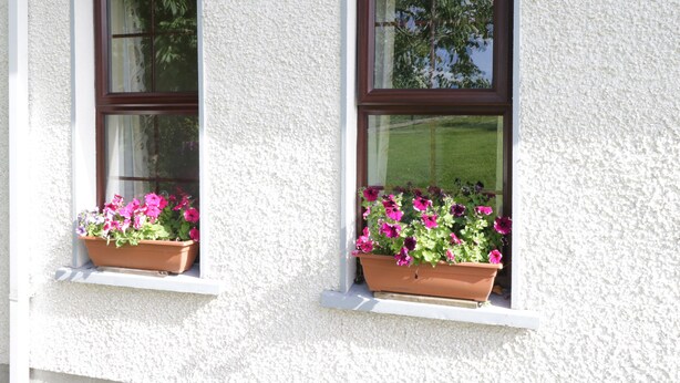 Two windows with brown frames and white trim, each with a terracotta planter filled with pink flowers. - Belladrihid Cottage (Ballysadare)