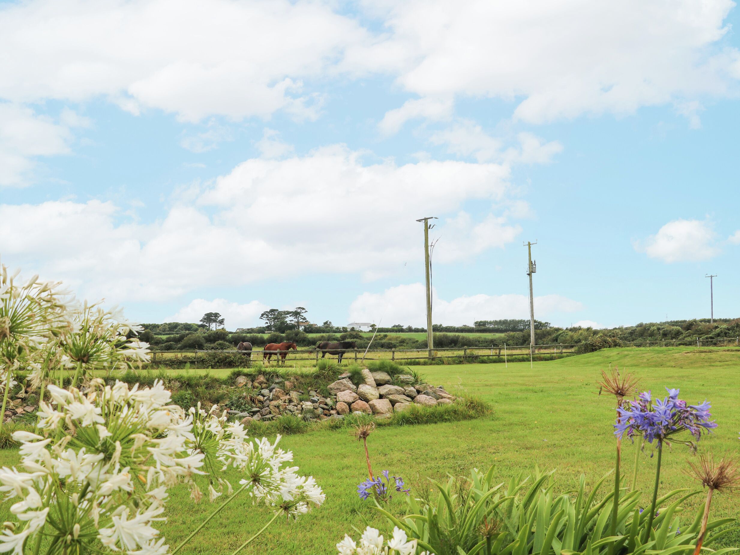 A rural landscape with horses grazing, a stone wall, and utility poles.