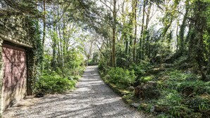 Un chemin de gravier bordé d’une végétation luxuriante et d’un mur de pierre d’un côté.