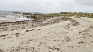 Een strand met een rotsachtige kustlijn, wier en een huis in de verte.