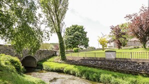 Unclassified image, 2 of 29, button - An Maide Bán (Cootehill)