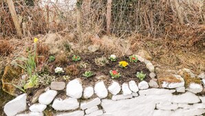 A garden with a stone wall and various plants. - The Cottage (Newport)