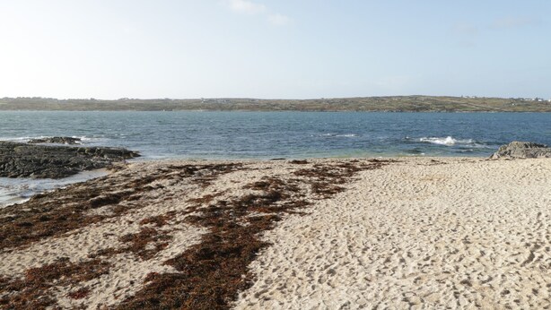 A sandy beach with seaweed, calm water, and a distant shoreline. - Teach Teolai (Carraroe)