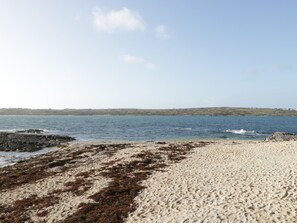 A sandy beach with seaweed, calm water, and a distant shoreline. - Teach Teolai (Carraroe)