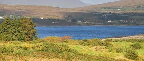 A coastal landscape with a body of water, hills, and sparse vegetation.