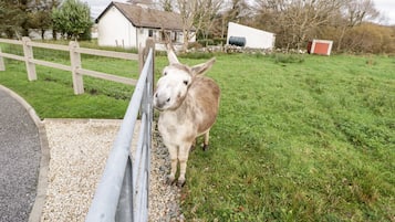 Casa de campo | Parte interna