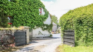 Een smalle landweg die leidt naar een wit gebouw met een rood raam, omgeven door weelderige begroeiing en een hekwerk.