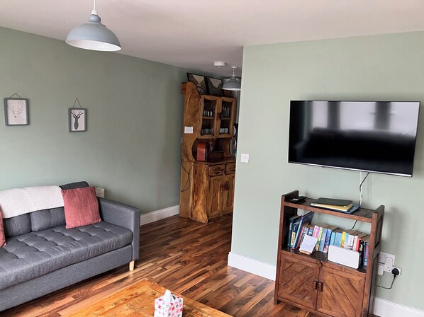 Un salon avec un canapé gris, un meuble en bois et un téléviseur fixé au mur.