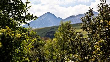 Cottage | Enceinte de lâhĂ©bergement
