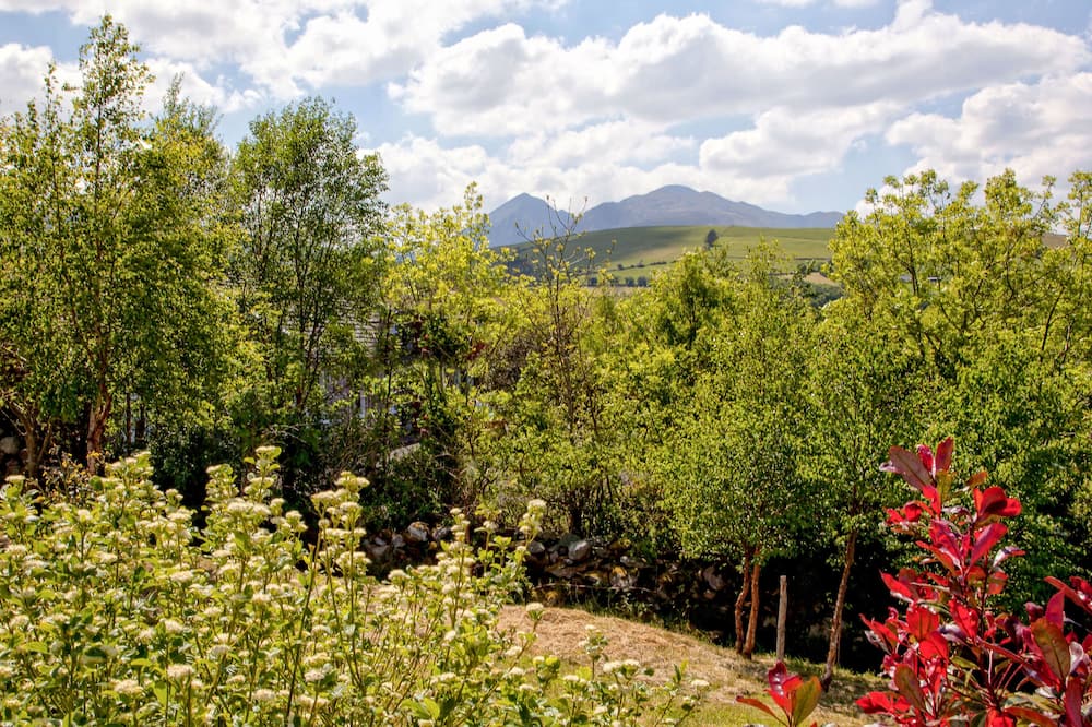 Silver Birch House