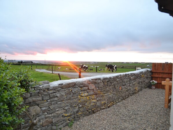 A stone wall with a gravel path, a wooden fence, and a grassy field with cows grazing.