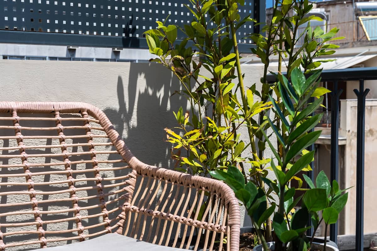 A wicker sofa with cushions, a tray with black mugs and green limes, and a potted plant.